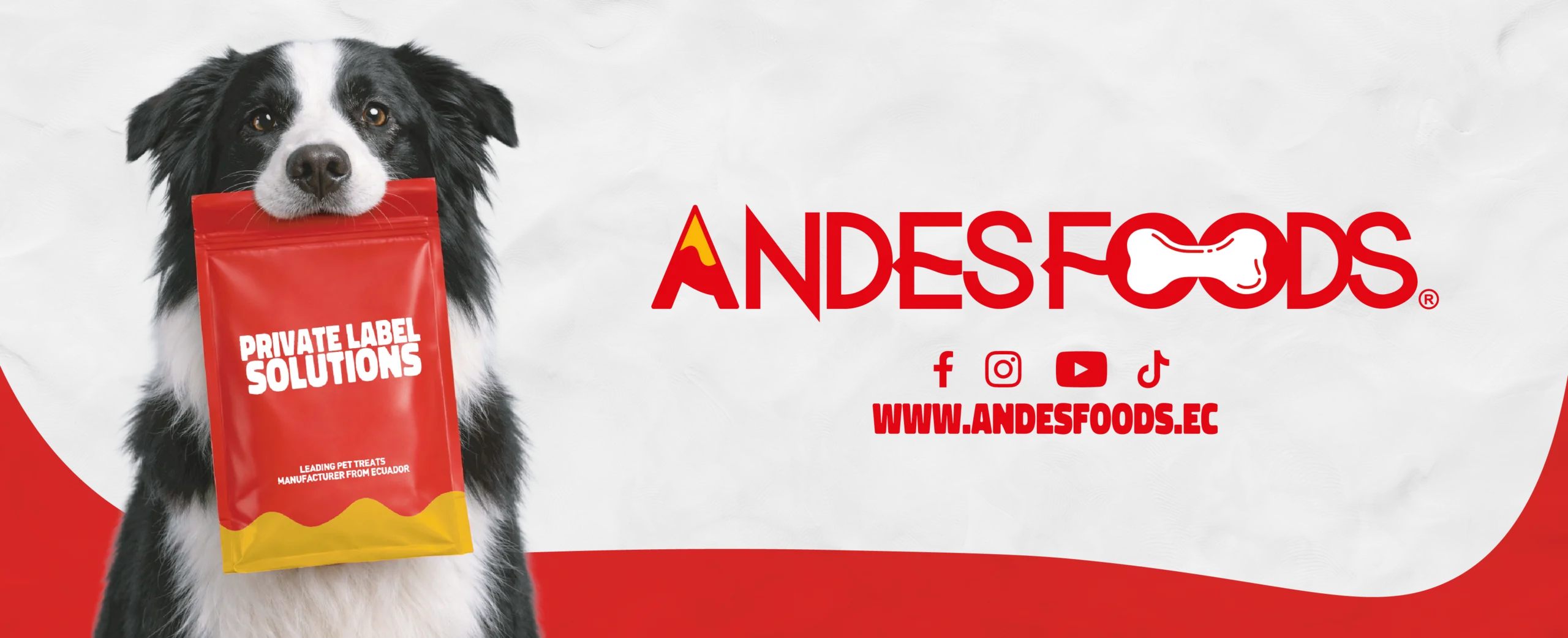 Mesa de trabajo 3@2x