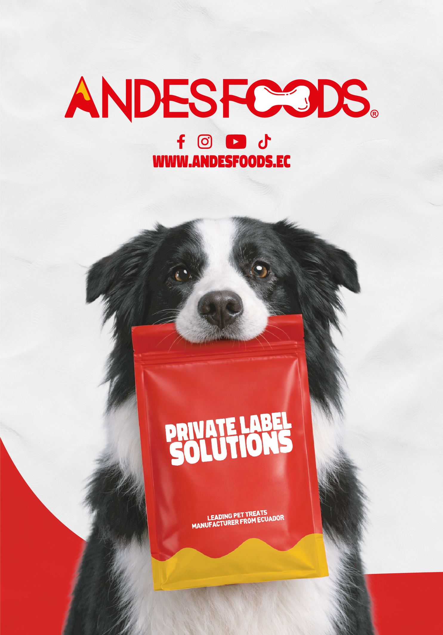 Mesa de trabajo 8@2x